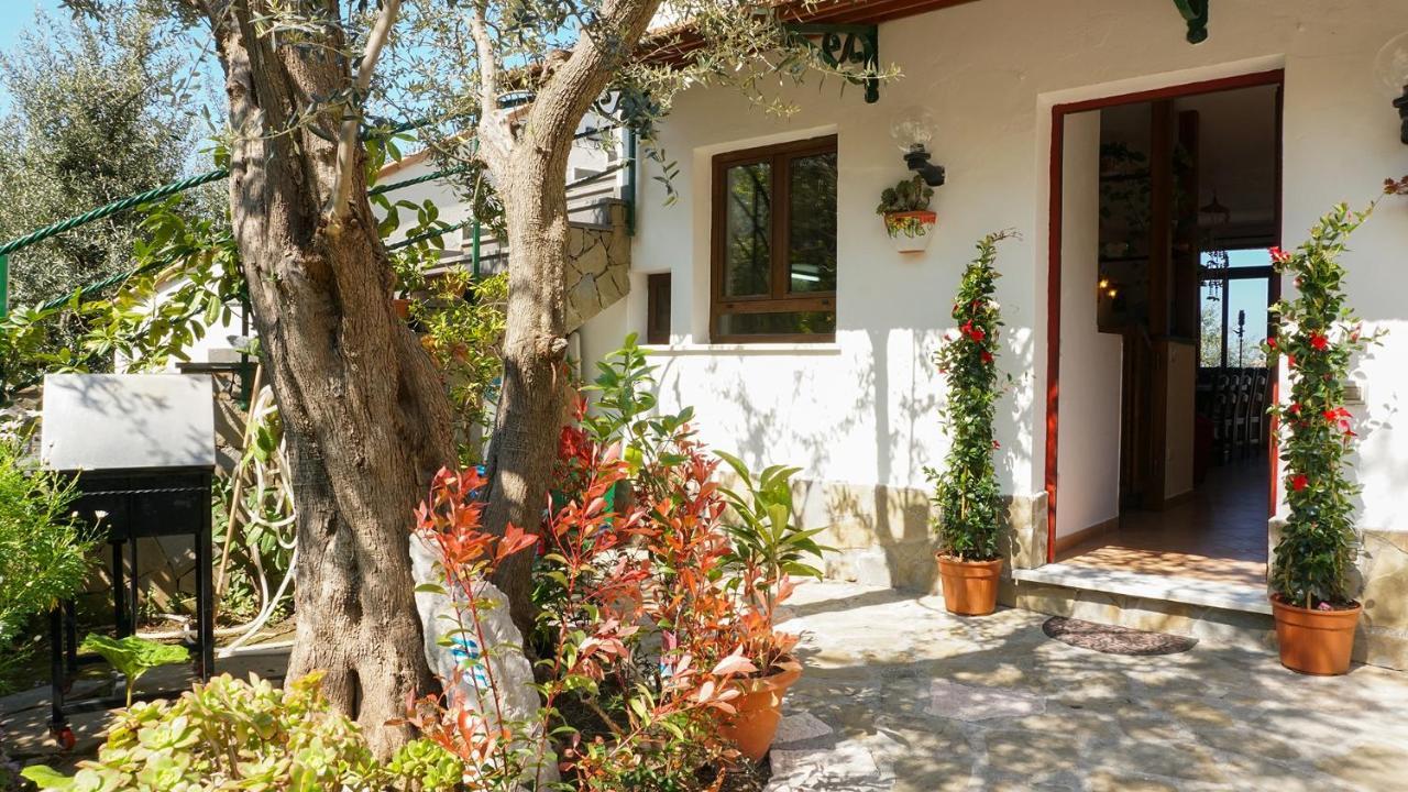 Amore Rentals - Casa Tatano Marciano المظهر الخارجي الصورة